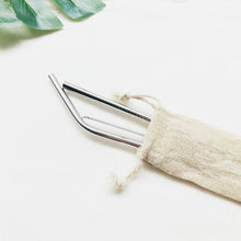 4 Stainless Steel Drinking Straws with Cleaning Brush with Carrying Bag