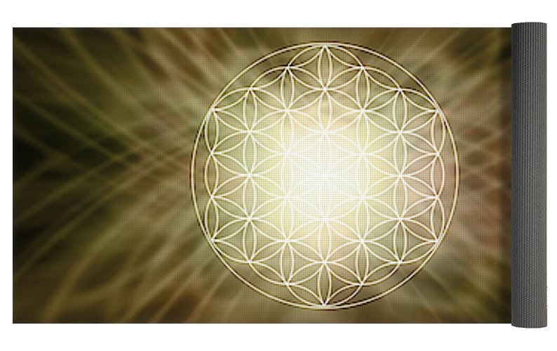 Flower of Light