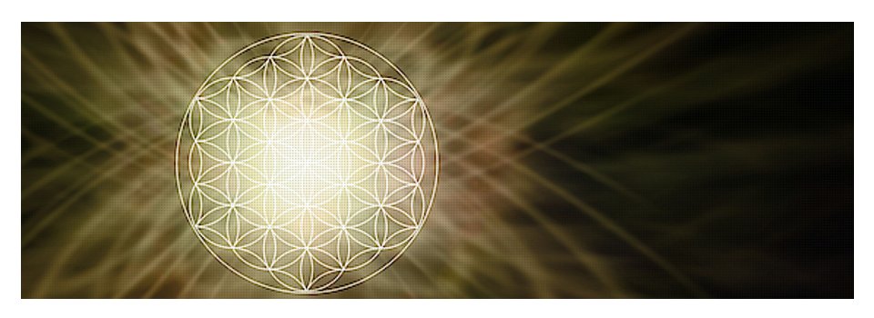 Flower of Light