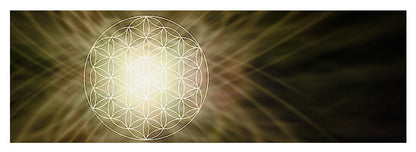 Flower of Light