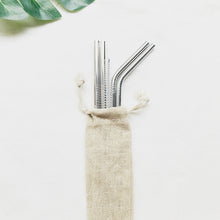 4 Stainless Steel Drinking Straws with Cleaning Brush with Carrying Bag