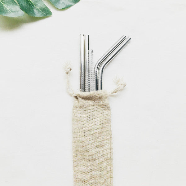 4 Stainless Steel Drinking Straws with Cleaning Brush with Carrying Bag